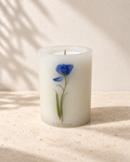 Céleste — Botanical Lantern Candle